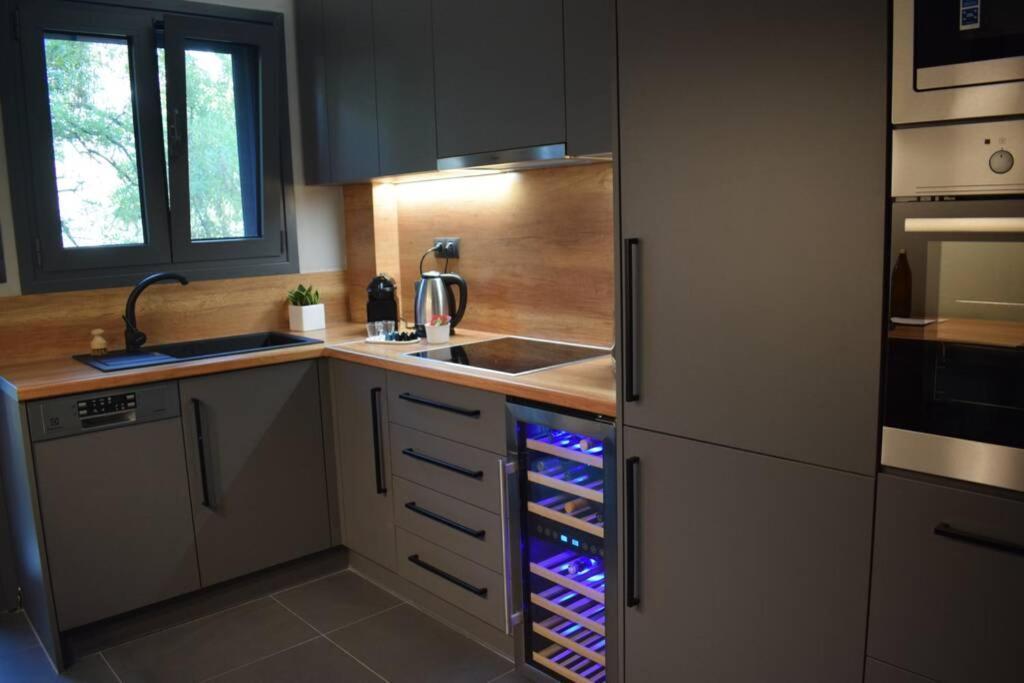 Ockto Luxurious Business Travel Apartment Athen Eksteriør bilde